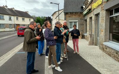 Hirondelles et martinets : près de 70 comptages des nids réalisés par les bénévoles