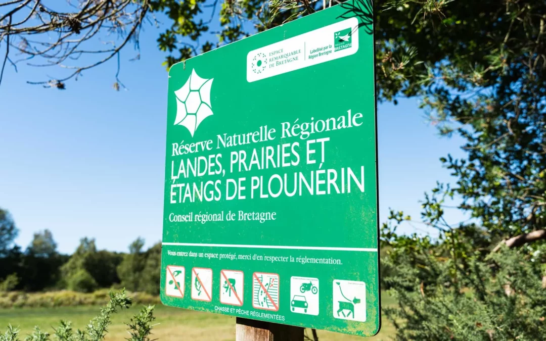 Sortie « A la découverte de la Réserve naturelle des landes, prairies et étangs de Plounérin »