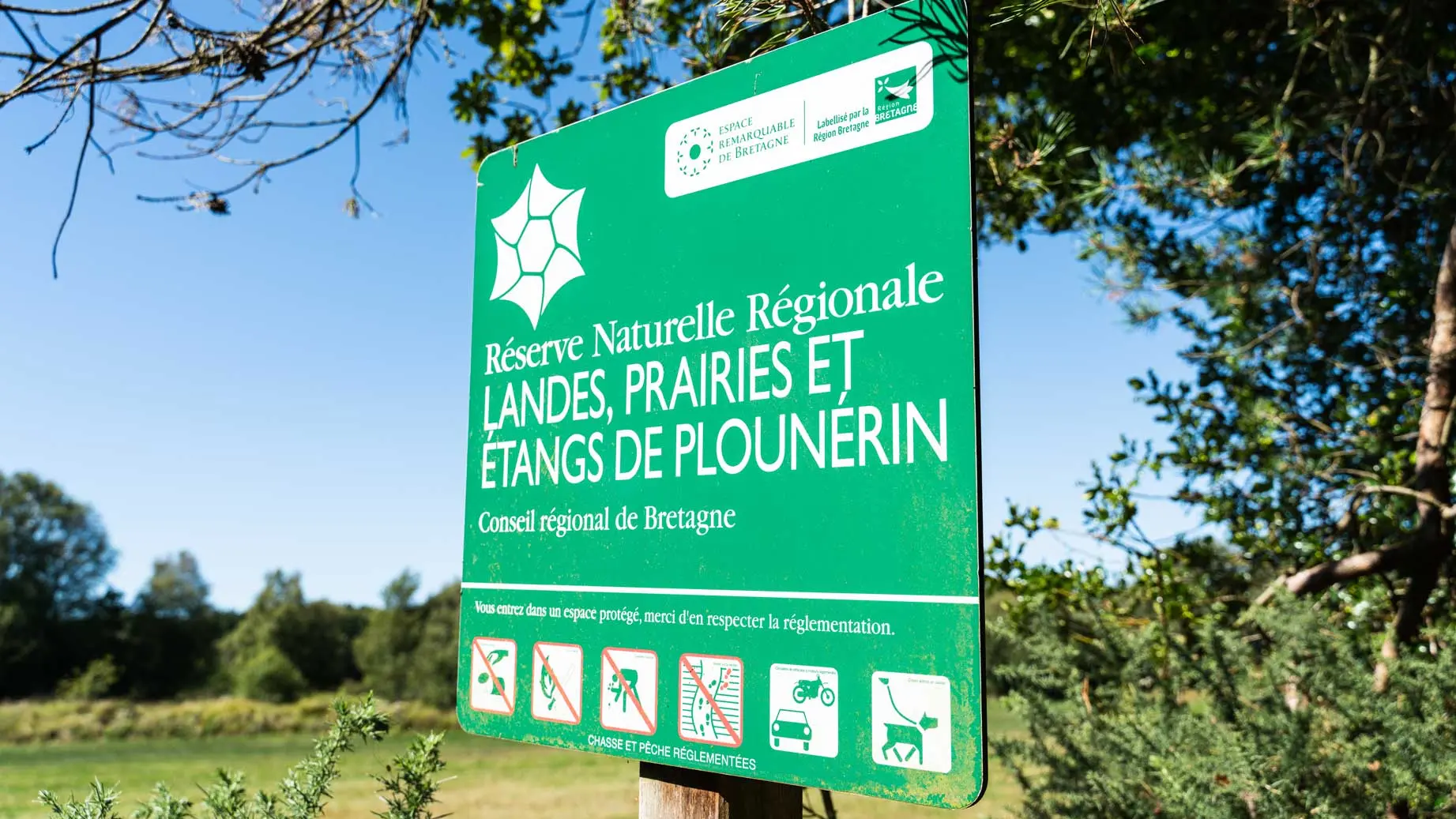 Sortie "A la découverte de la Réserve naturelle des landes, prairies et étangs de Plounérin"