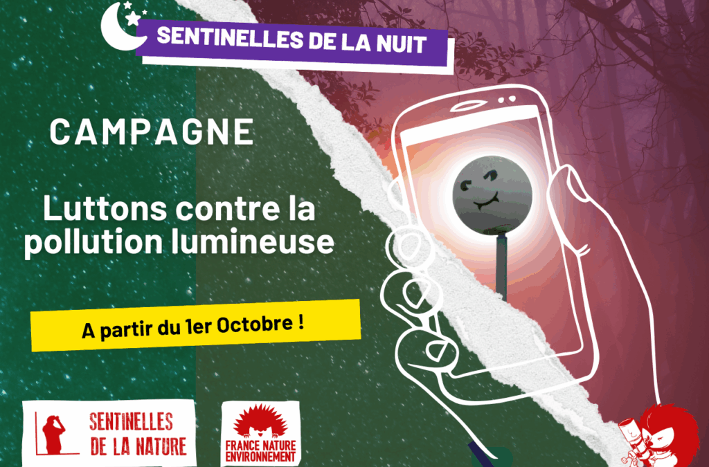 Devenez Sentinelles de la nuit