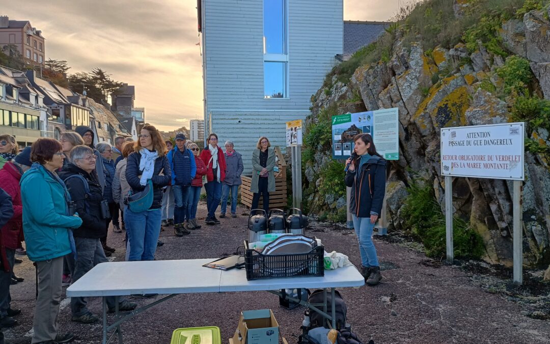 Sortie découverte de la baie en bus