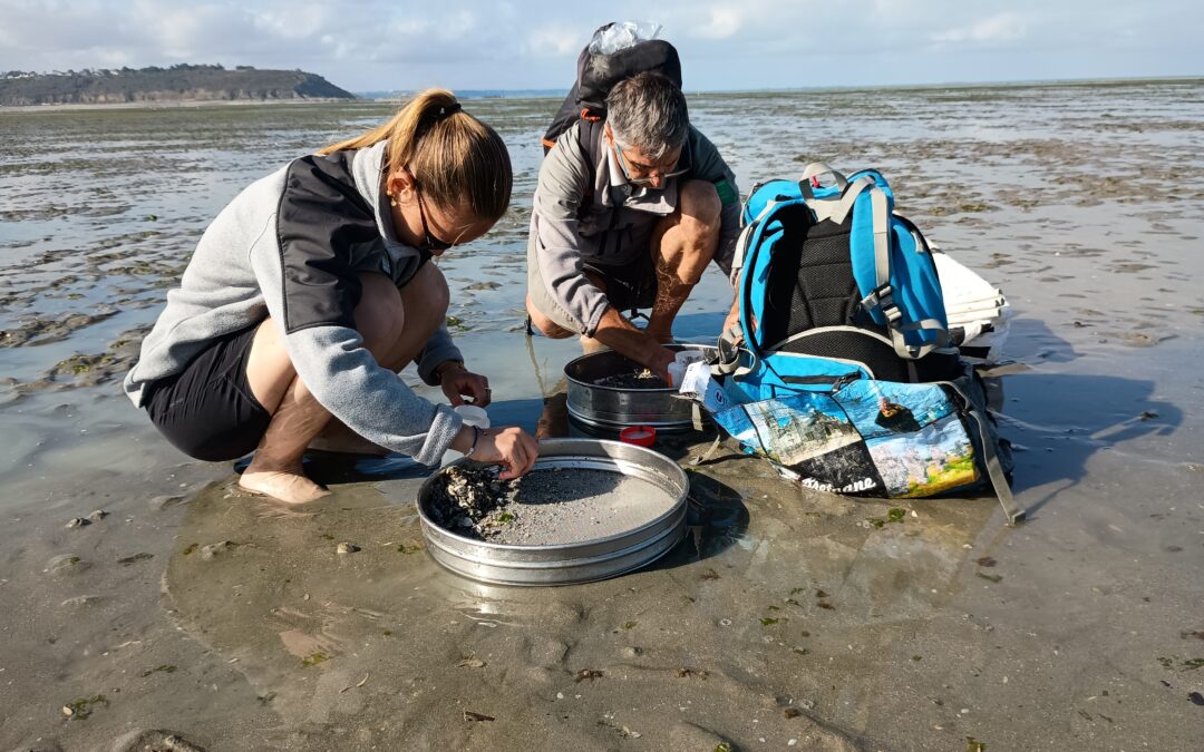 Suivre la faune benthique