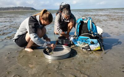 Suivre la faune benthique