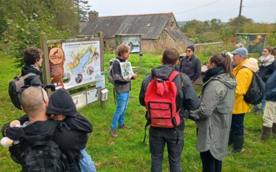 Retour sur la grande sortie du semestre