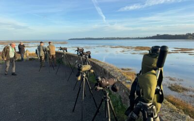 Retour sur la 6ème édition de la fête des oiseaux migrateurs