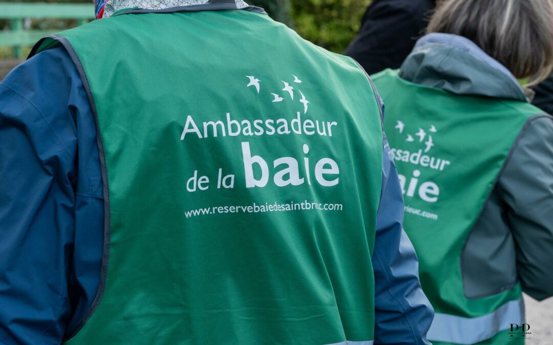 Ambassadeurs de la baie : le bilan de l&rsquo;année 2025