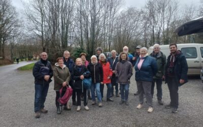 Un cycle de découverte des oiseaux pour l’UTL du Pays de Loudéac