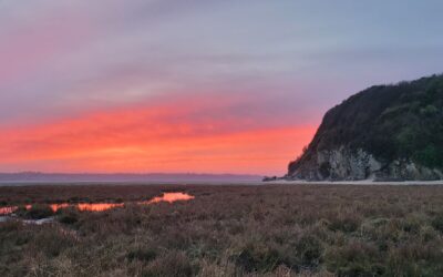 Des nouvelles d&rsquo;AviTrack