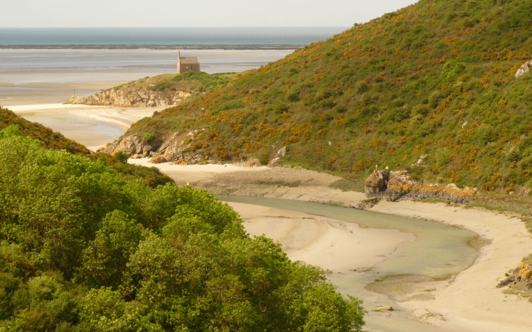 Zoom changement climatique : l&rsquo;estuaire du Gouessant