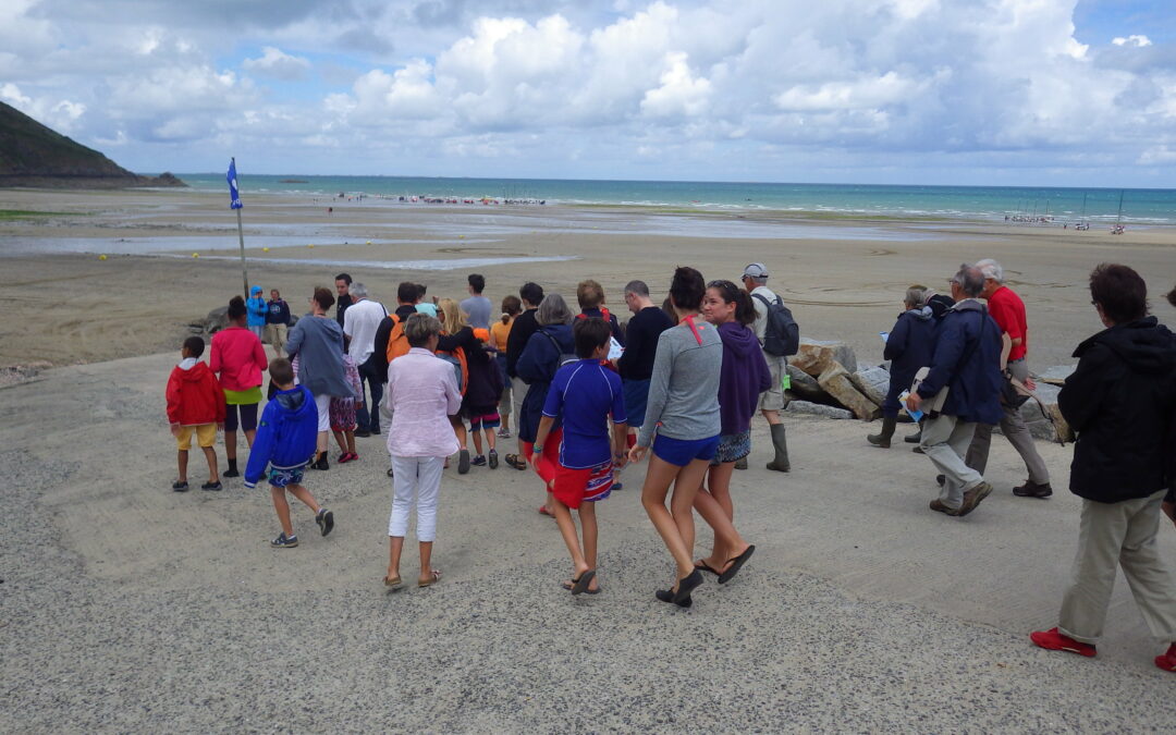 Sortie « Safari du bord de mer » à Tournemine
