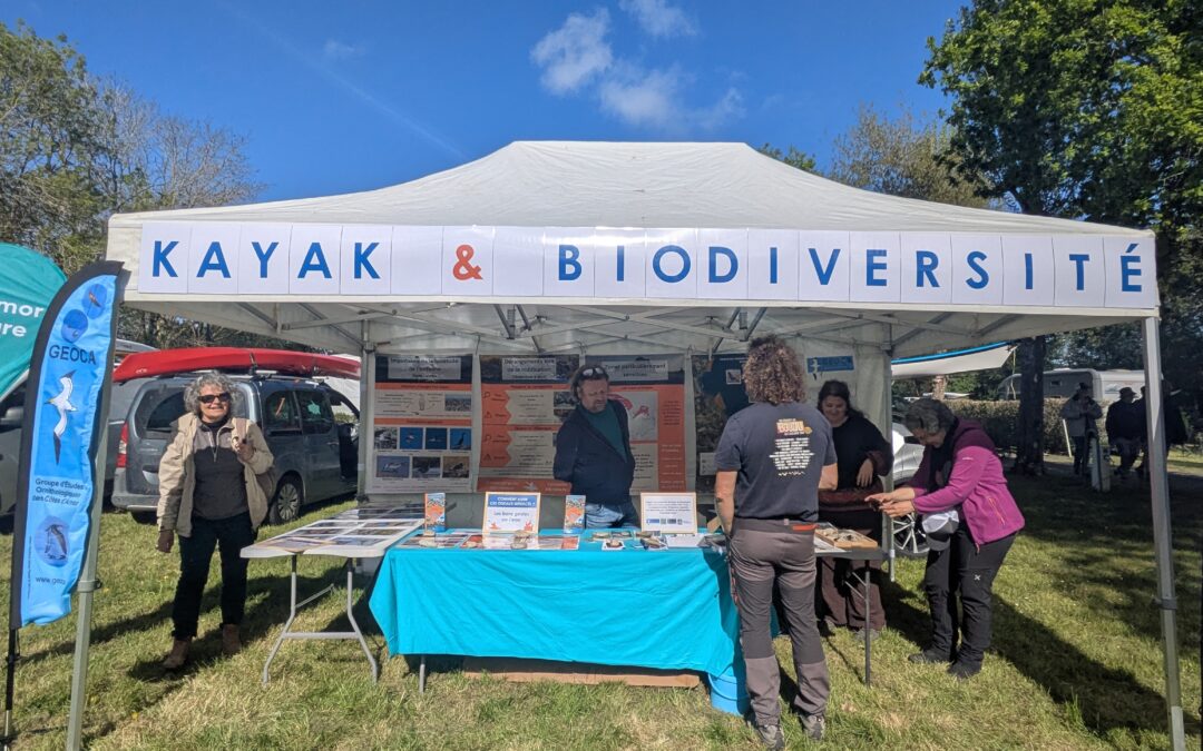 Kayak et biodiversité : 89 pratiquants sensibilisés aux bons gestes
