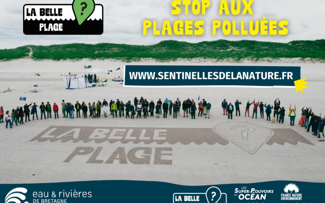 Campagne « La belle plage » 2026 : des vacances vigilantes !