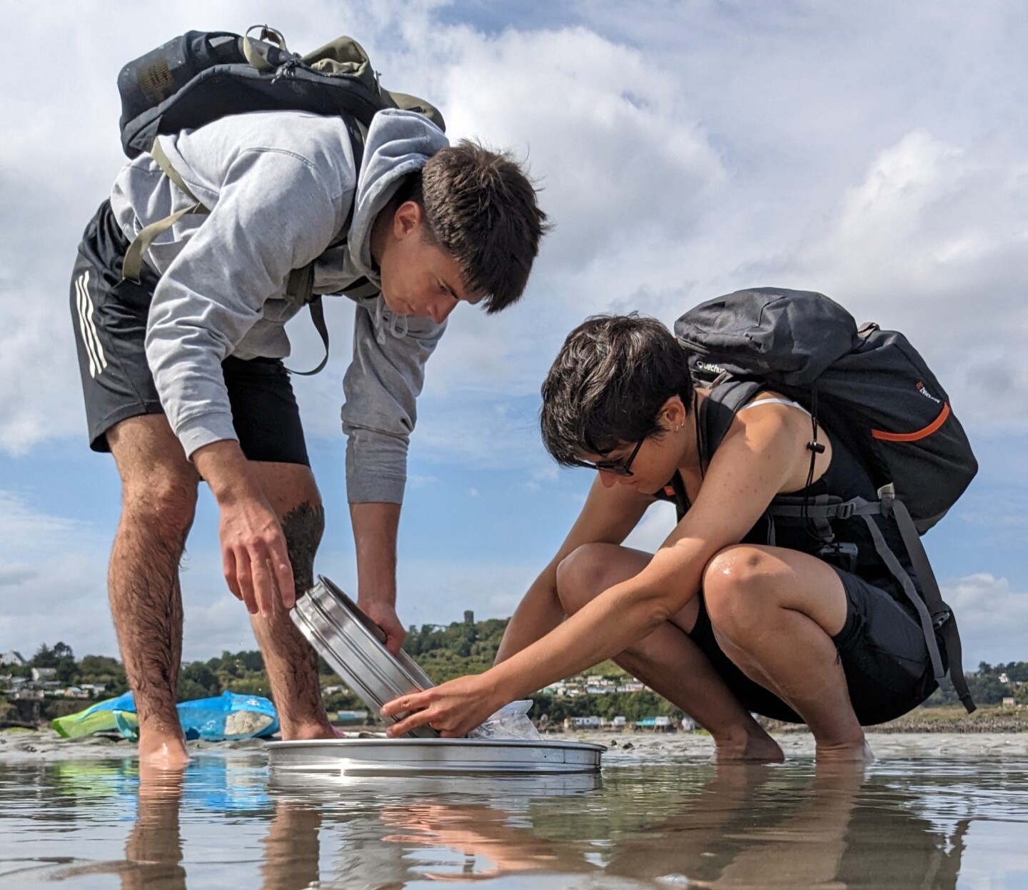 Évaluation du gisement de bivalves du fond de la baie de Saint-Brieuc