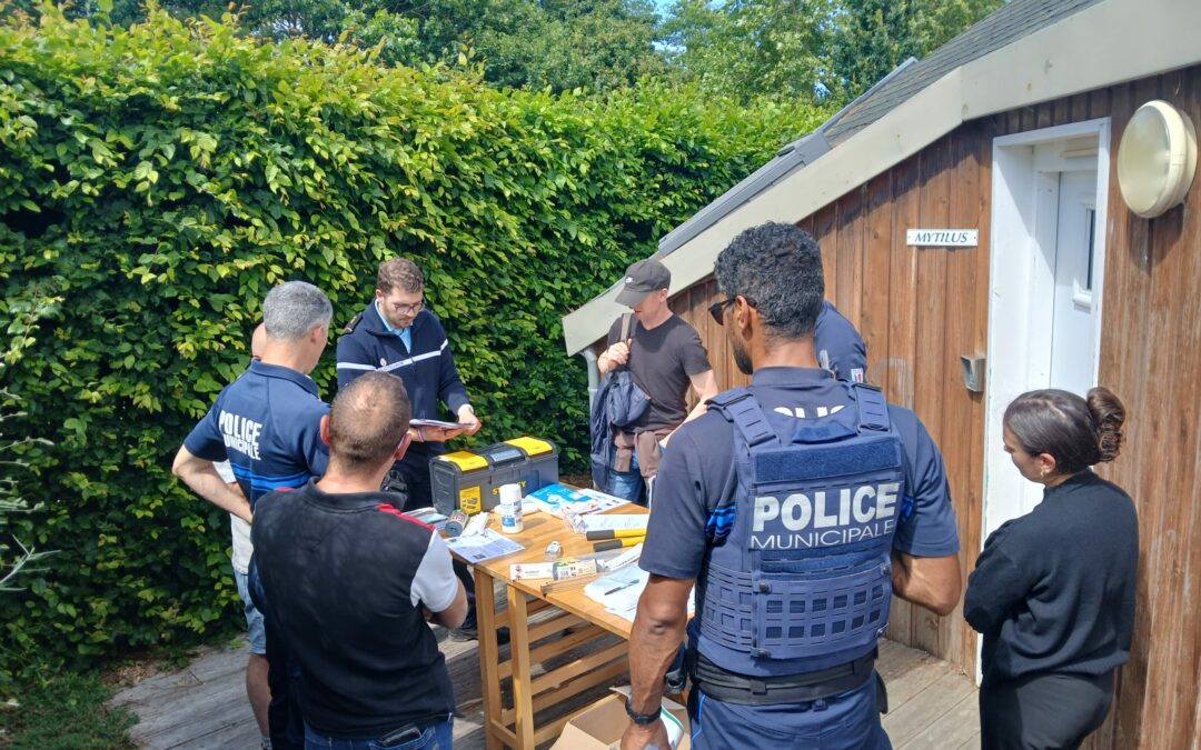 Une formation conduite à tenir et protocoles d&rsquo;intervention échouages de mammifères marins
