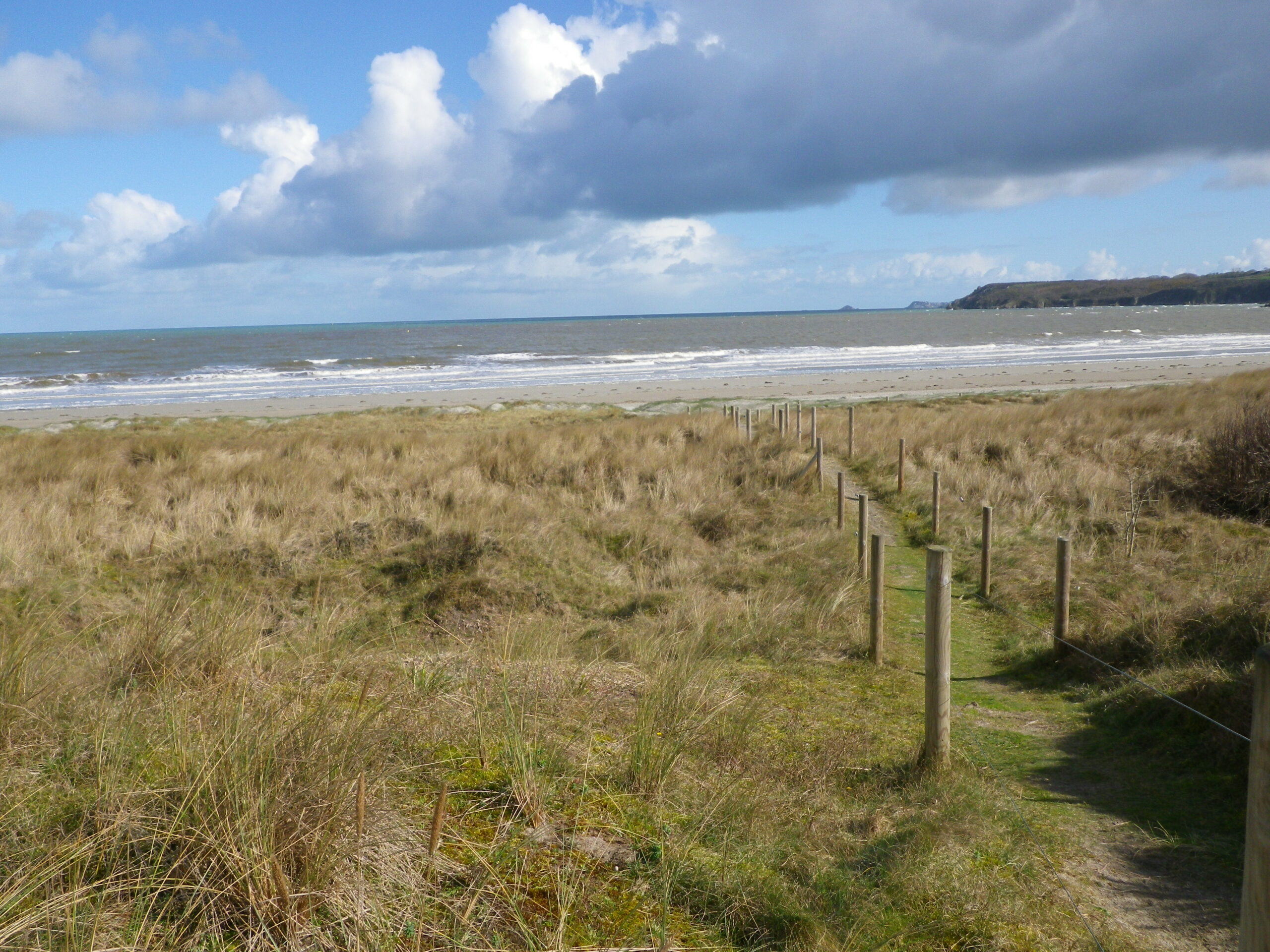Chantier entretien des clôtures des dunes de Bon Abri