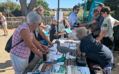 Stand et sortie aux 40 ans de la maison de la baie