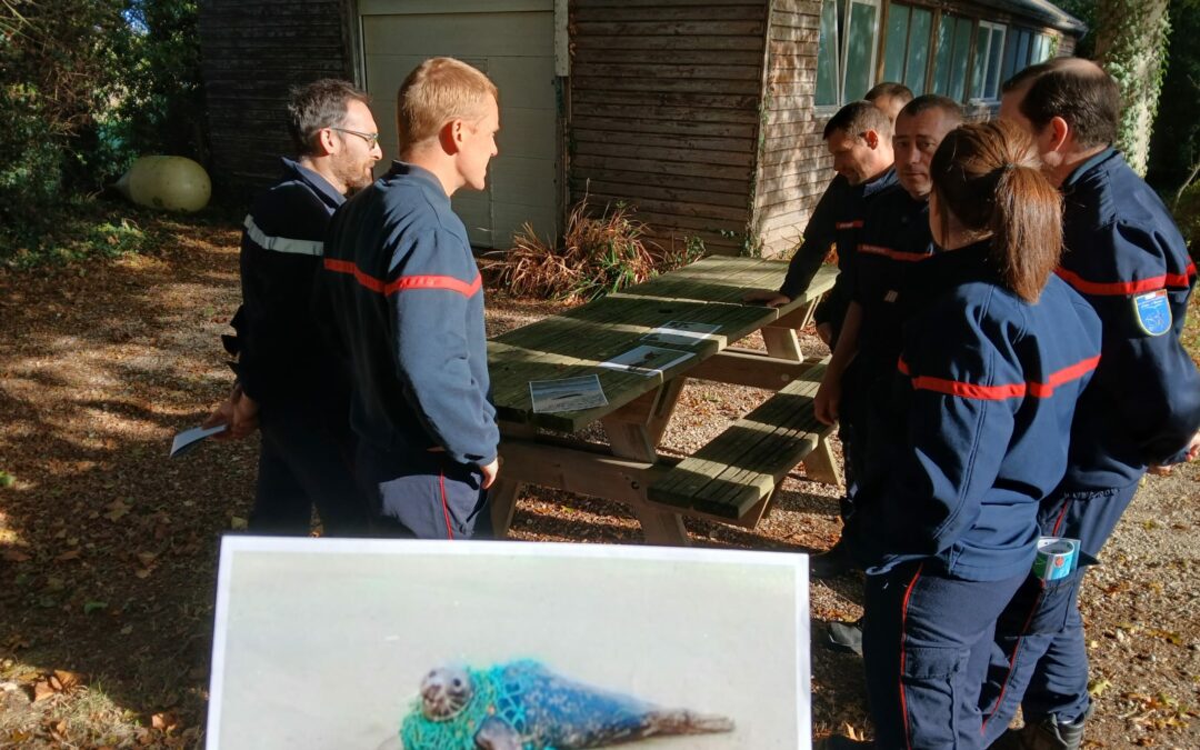 Une formation à destination des pompiers