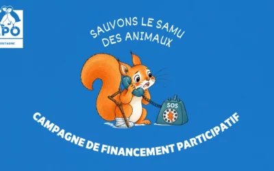 Sauvons le SAMU des animaux sauvages !